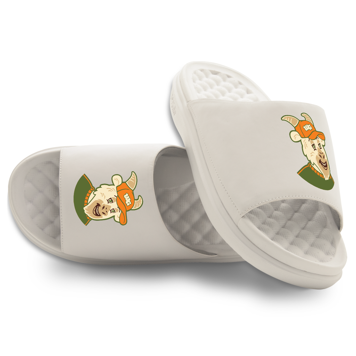 BeastGoat Slides